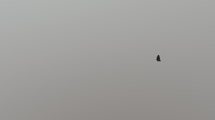 SeatGLS 3D Model