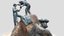 Loading 3D Model