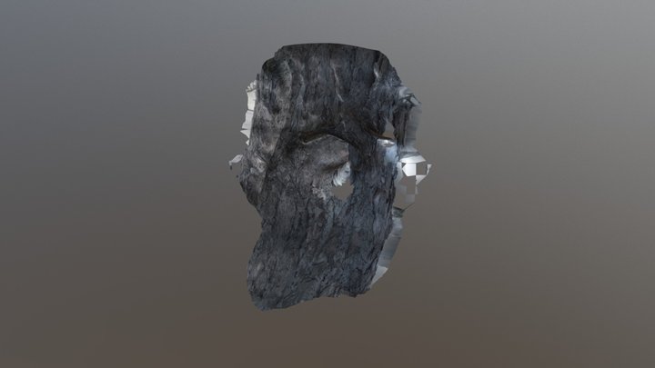 Foothold 3D Model