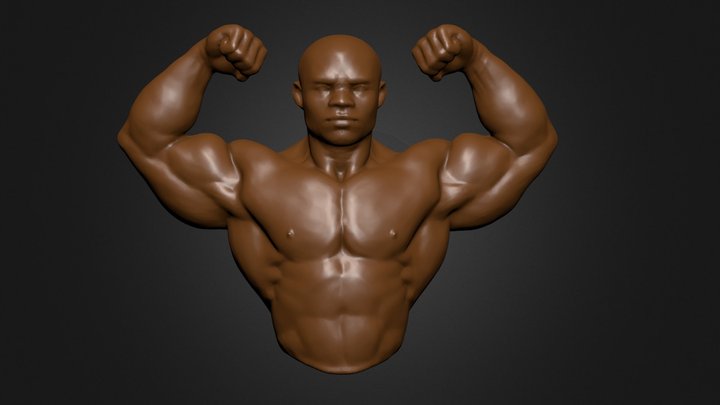 Biceps flex study 3D Model