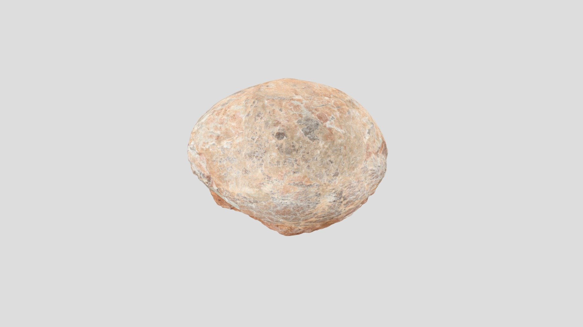 Dinosaur Egg