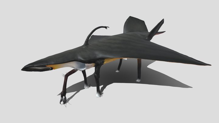 Phtanum - Calderaskimmer 3D Model