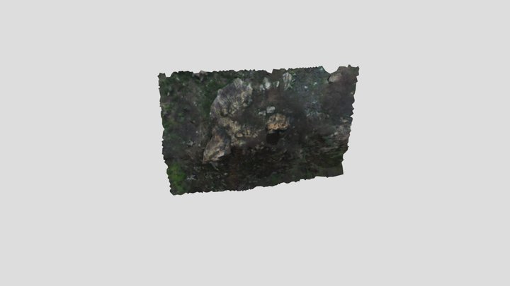 Pedra da Galinha 3D Model