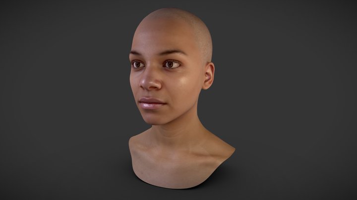 Female Head Scan_01 3D Model