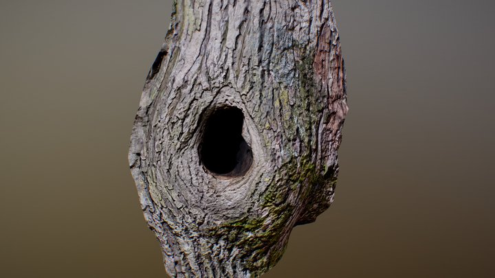 Tree Hole – Free 3D Model STL