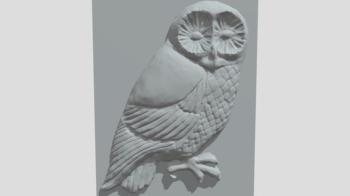 owl 3D Model