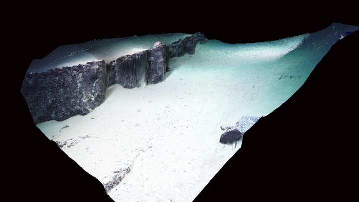 Rock wall at 1000 metre depth, Osprey Reef 3D Model