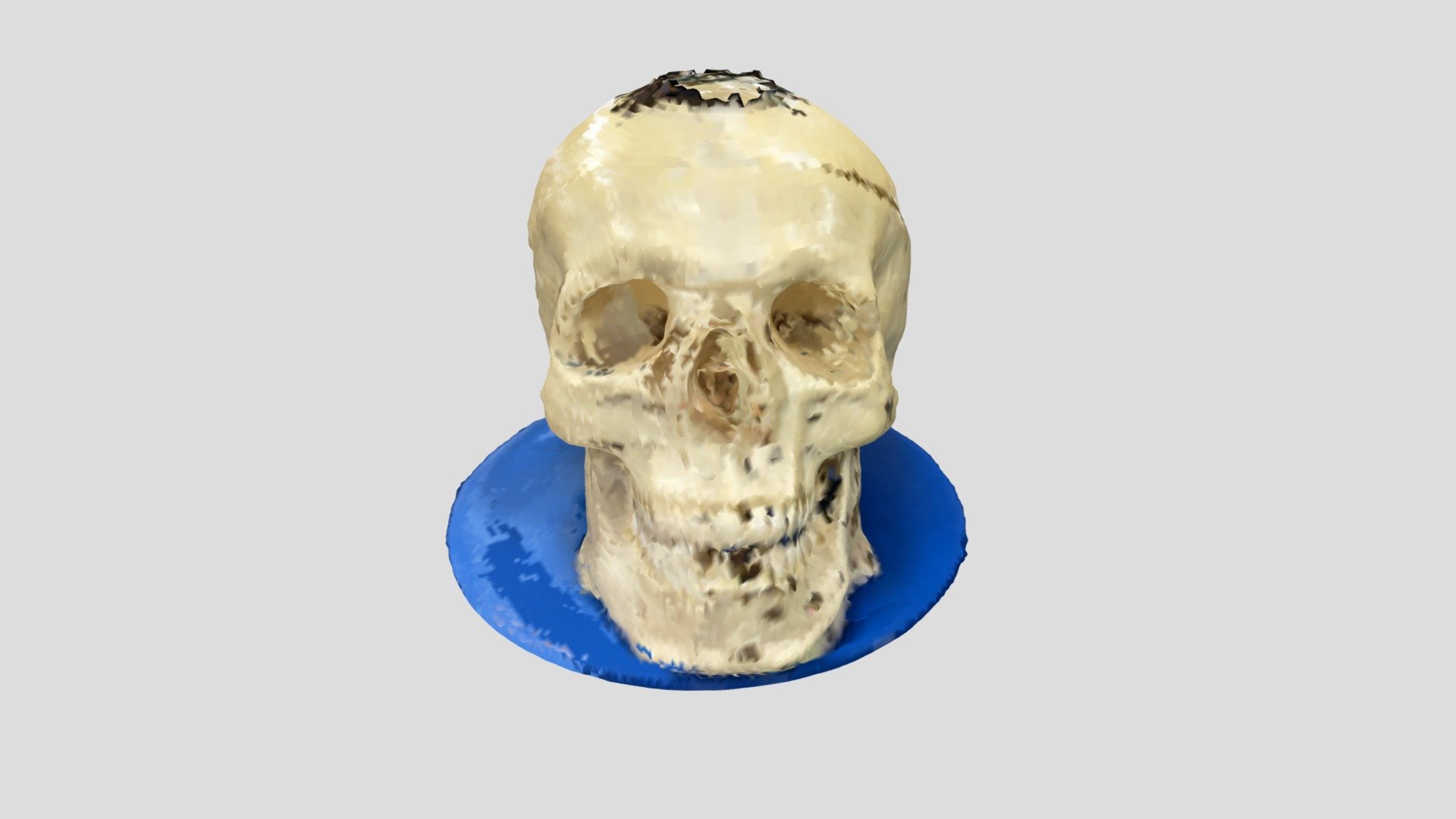 Skull - IR