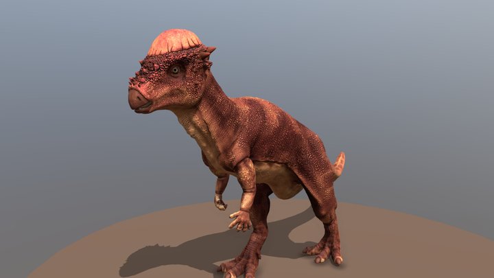 Pachycephalosaurus 3D Model