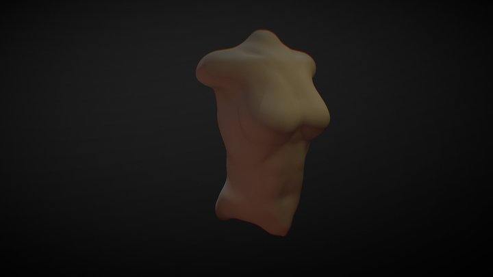 Female Body_02 3D Model