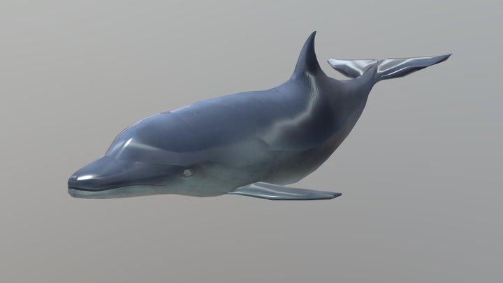 Game-Ready dolphin (Swimming) 3D Model