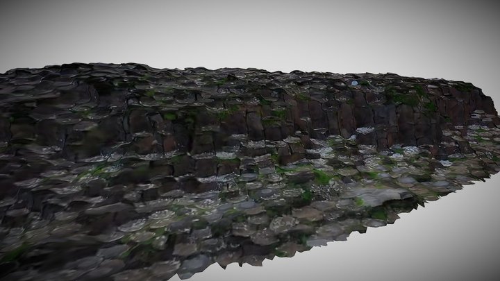 Giant's Causeway Wall - Northern Ireland – Modello 3D gratuito STL