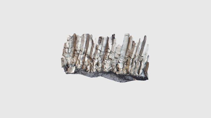 Icelandic Coast Cliff 3D Model