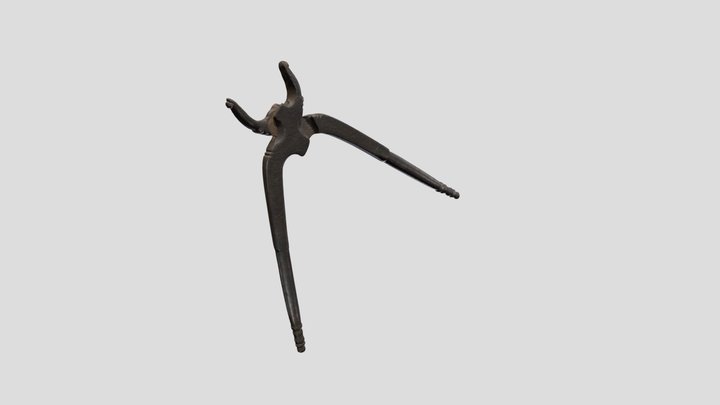 Extraction Forceps from the 1600s 3D Model