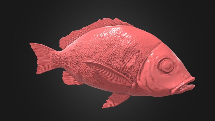 Snapper Fish 3D Model