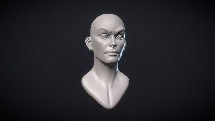 Stylized female head sculpt. 3D Model