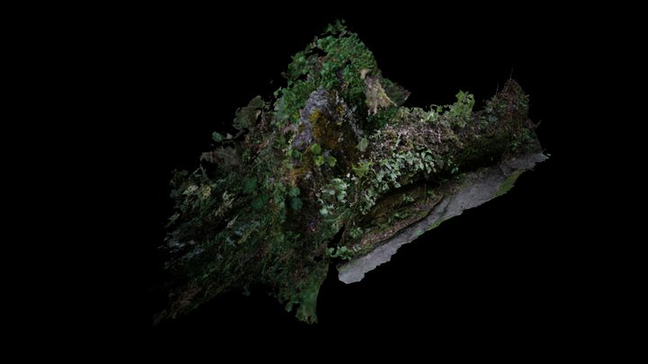 Palm_ROCK - Unstructured Pointcloud to Mesh 3D Model