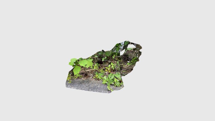 ritsumei25_曲線 3D Model