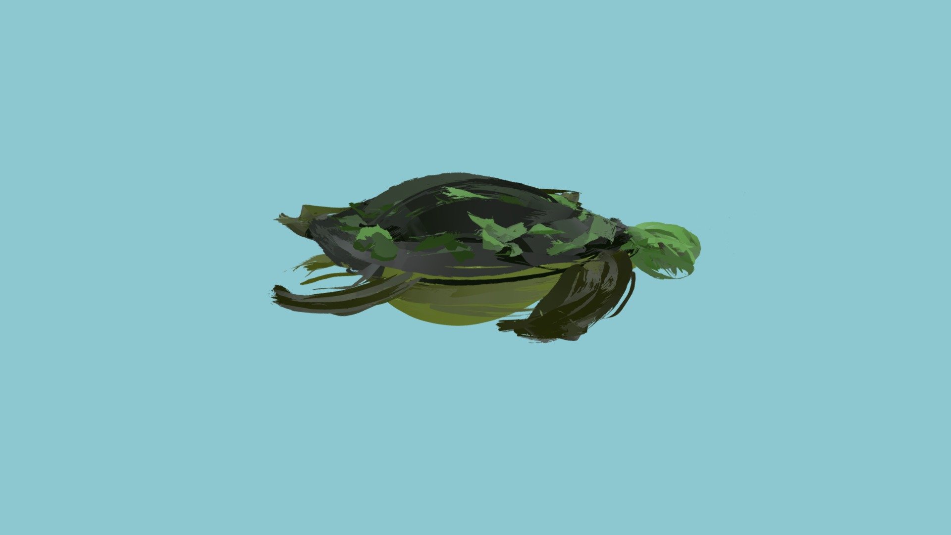 Borneo Turtle