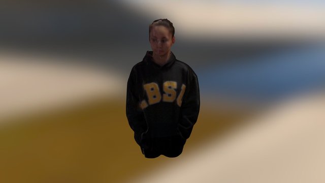 New Skanect Model 3D Model