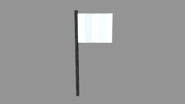 Blank Flag 3D Model