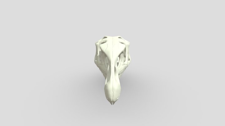 Archosaurus rossicus 3D Model