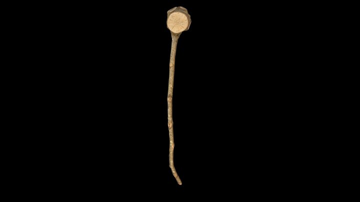 Holly Mallet II 3D Model