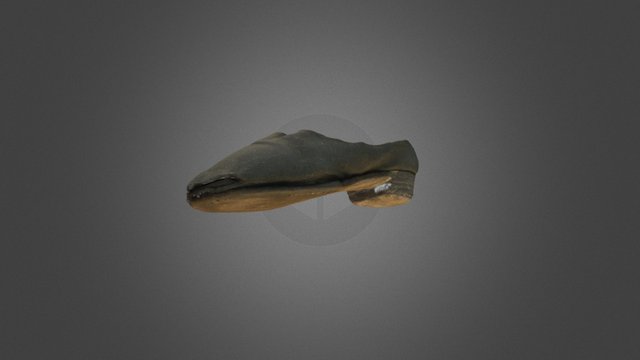 Bottom of Child's Shoe, 1865 3D Model