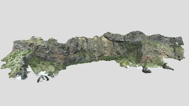 Aramoana Beach, East Otago, New Zealand 3D Model