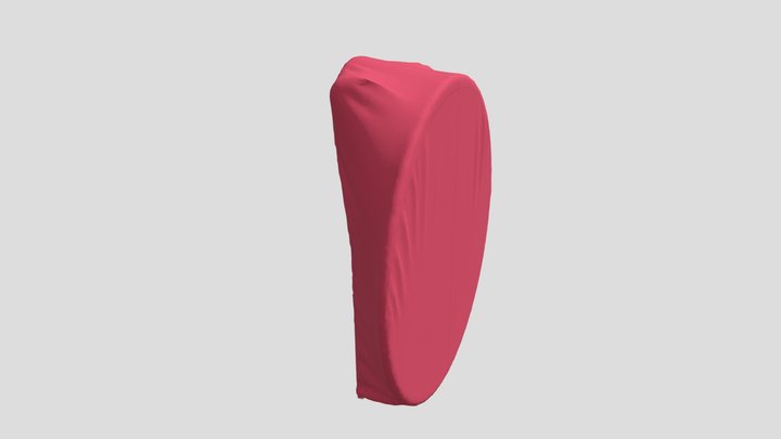 helm cover 3D Model