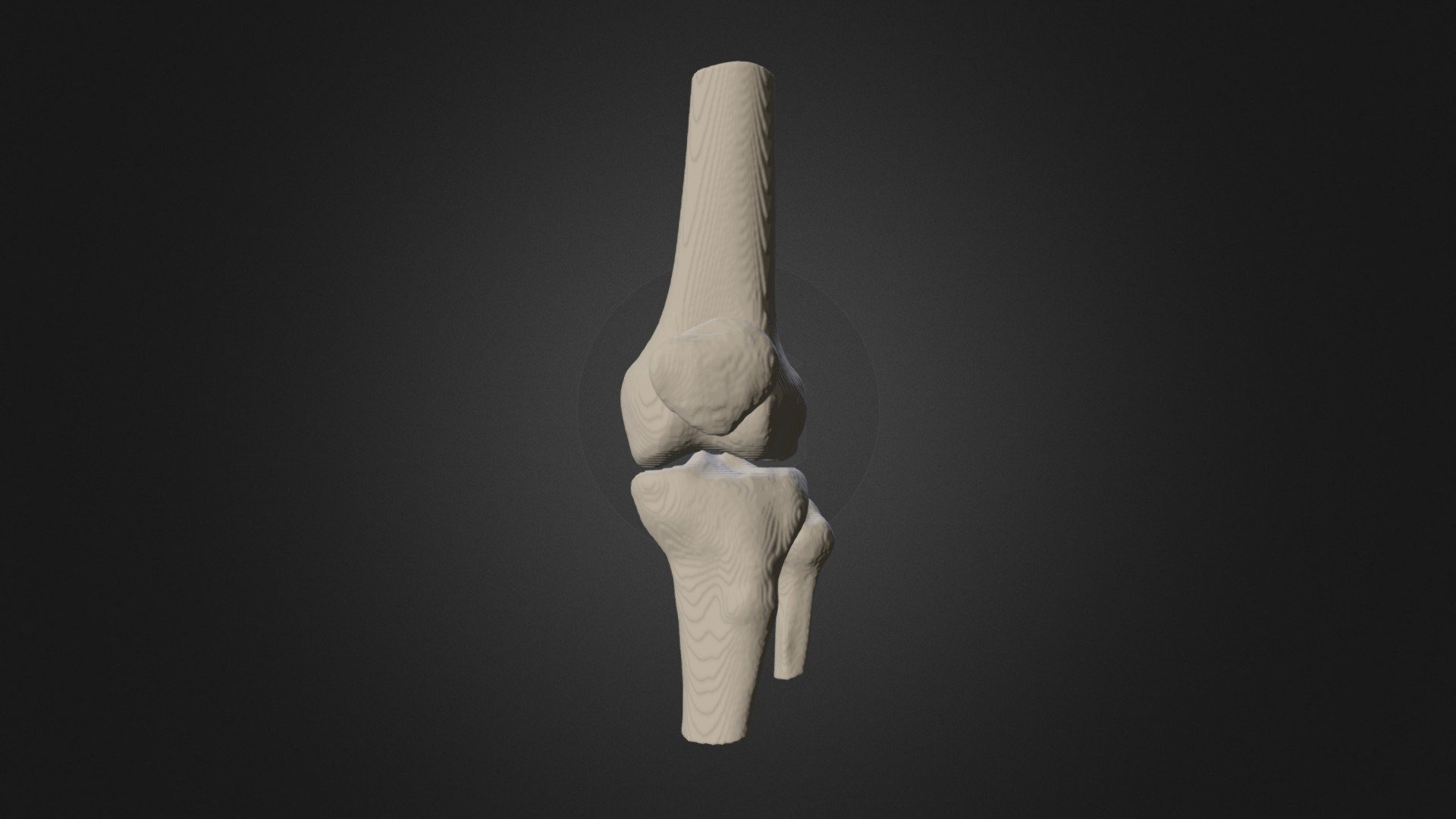 Rodilla - 3D model by Juan Schilling (@jschilling) [b64675f] - Sketchfab