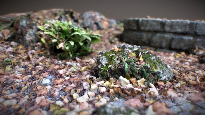 plant and wall 3d scan 3D Model