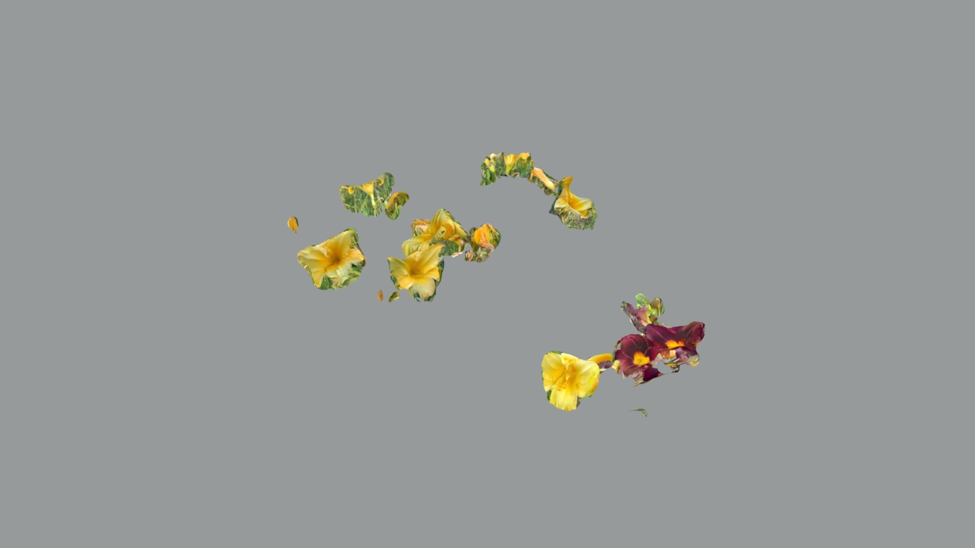 Flowers 4