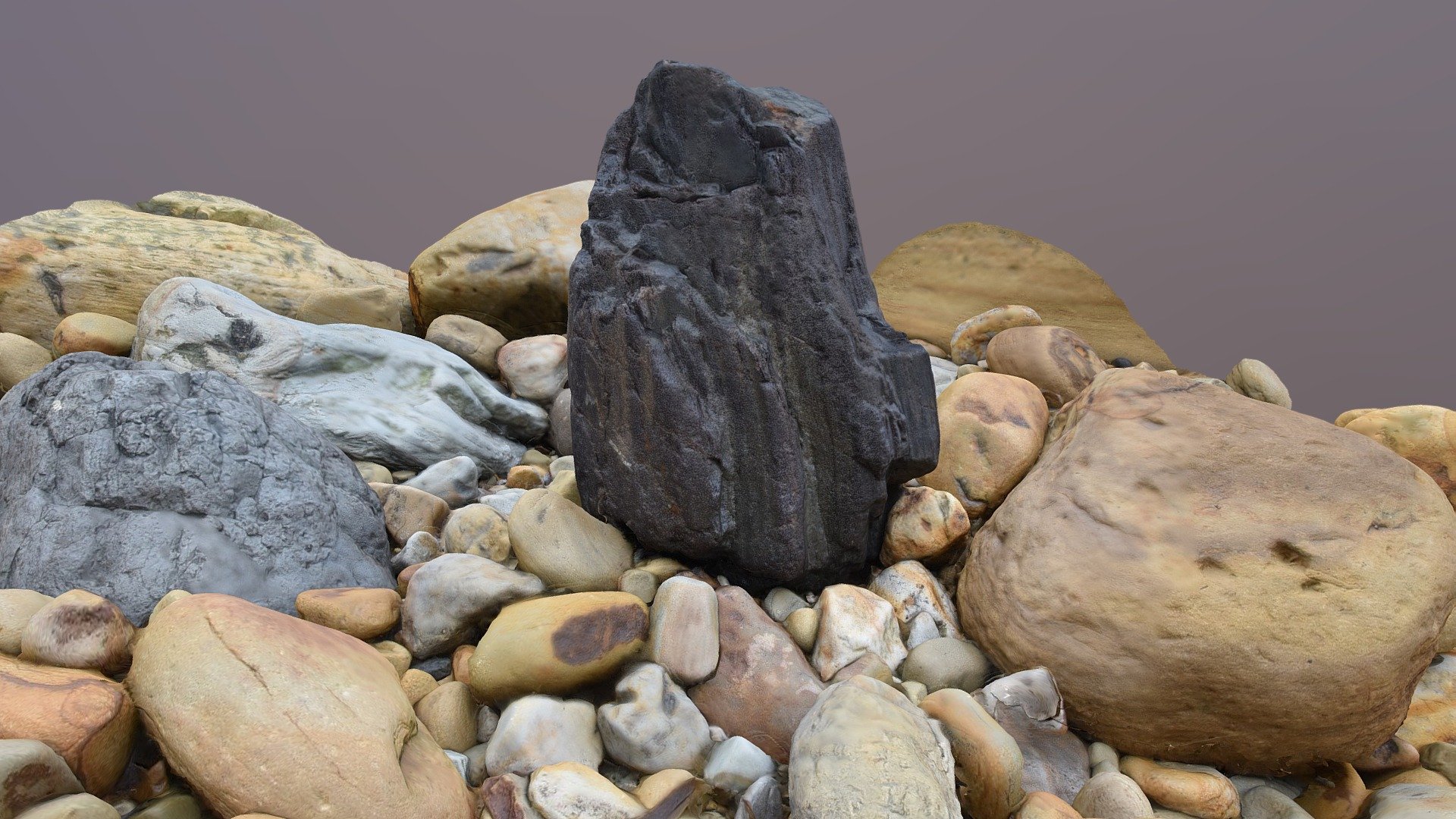 Fossil tree trunk