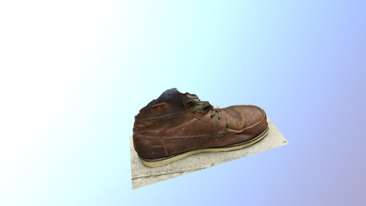 Boot Photogrammetry Test 3D Model