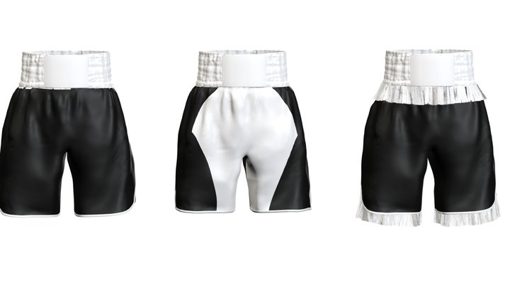 Boxing Shorts Varieties 3D Model