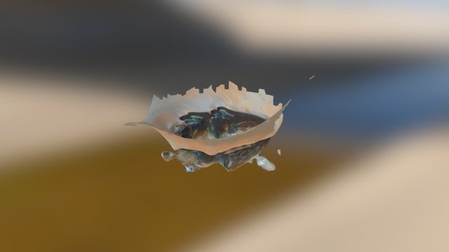 MODEL 3D Model