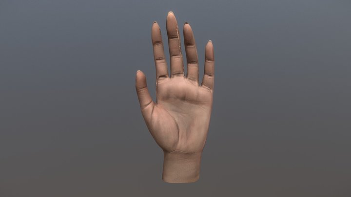 Hand Sculpt 3D Model