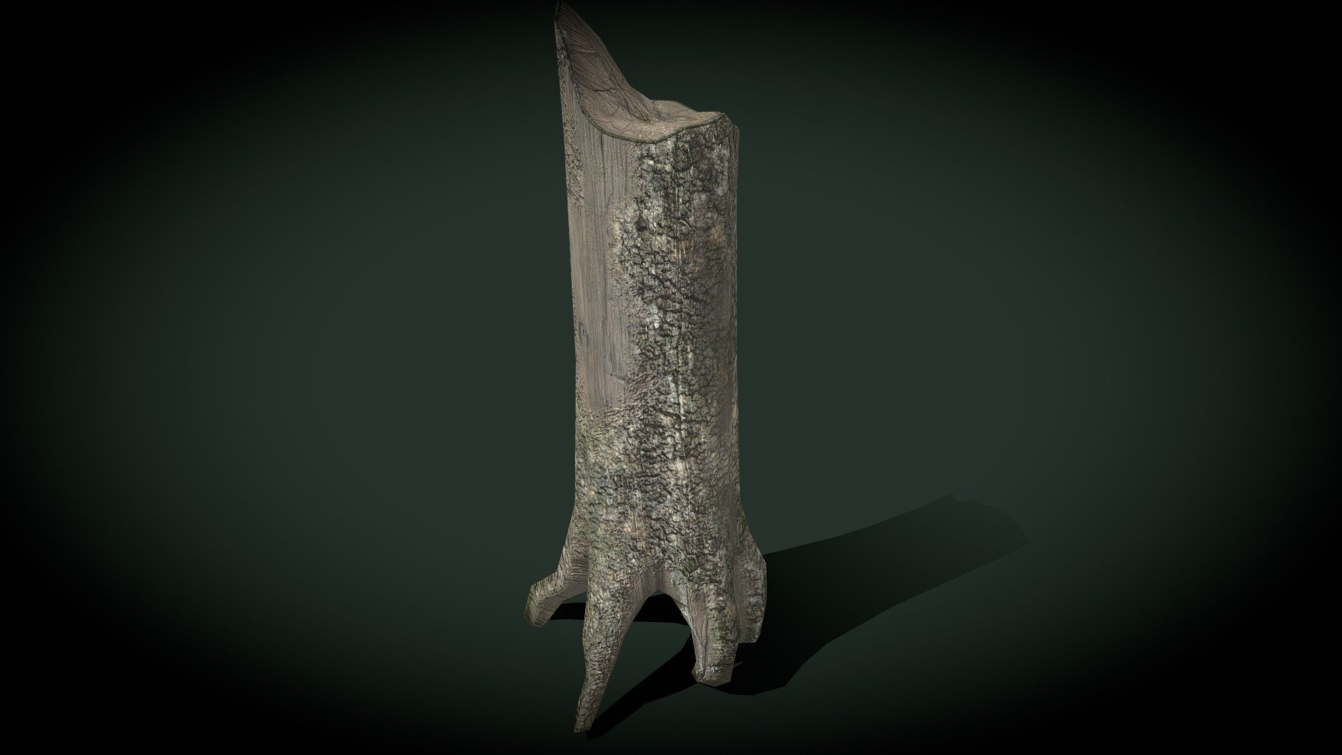 Tree Stump