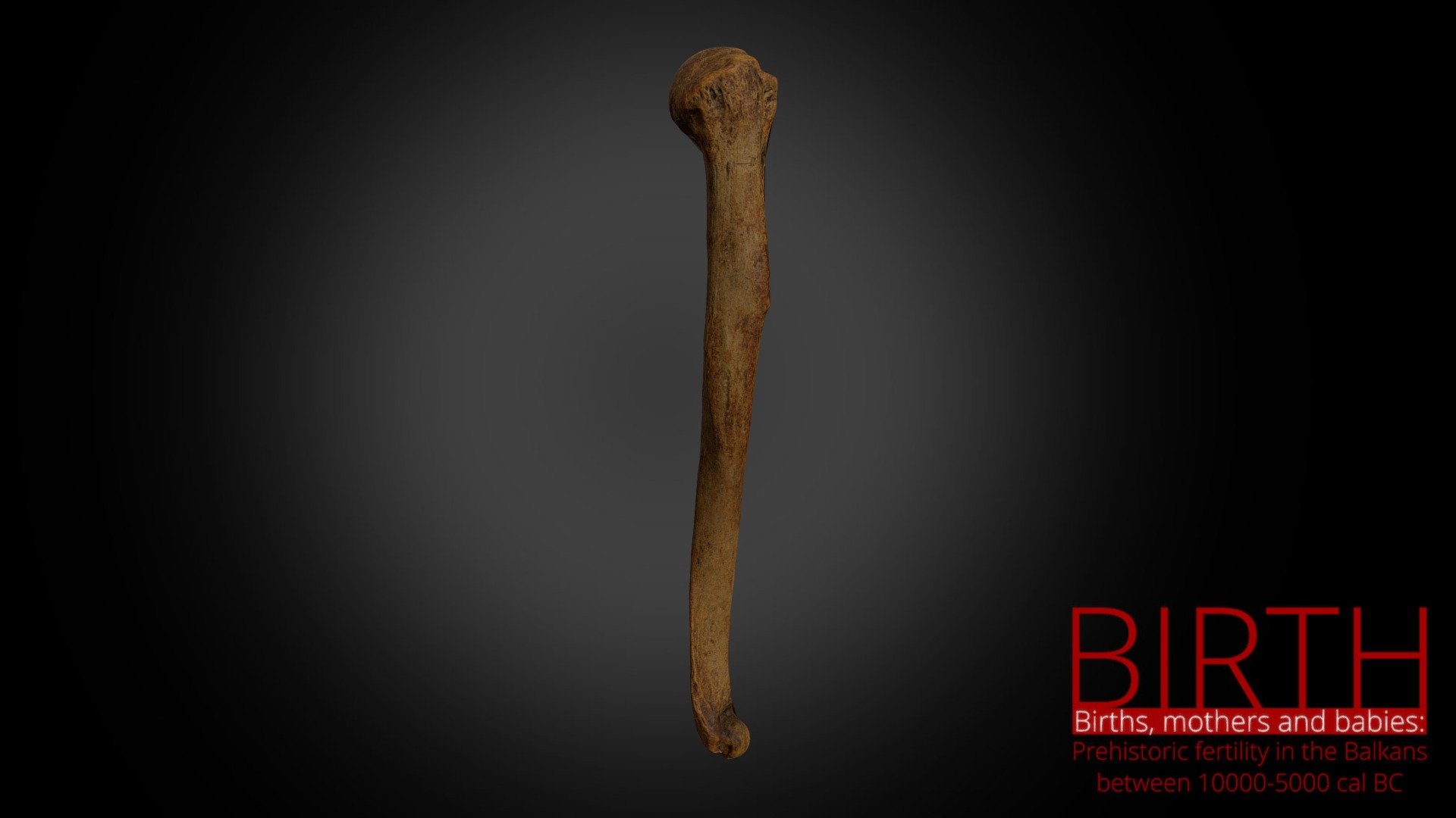 Lepenski Vir - grave 73 - humerus bone (lowpoly)