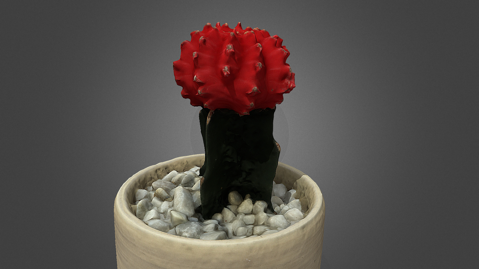 3D model Potted Cactus - This is a 3D model of the Potted Cactus. The 3D model is about a rose on a cake.