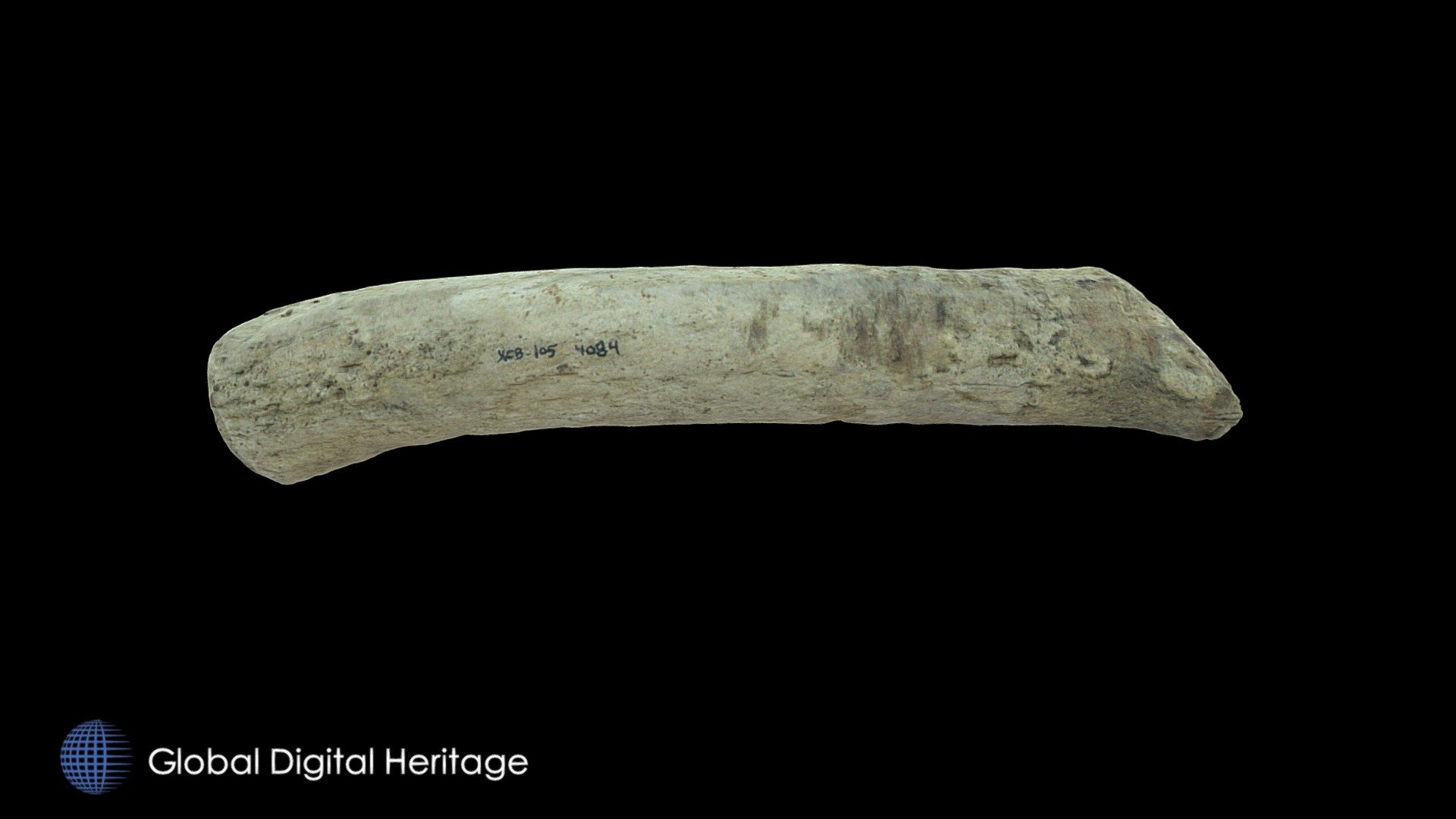 Modified Caribou Antler XCB-105-4084