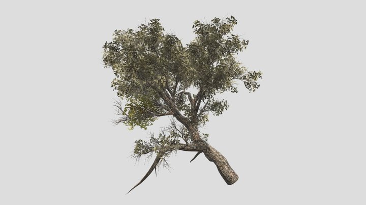 Tree (part10) – Modello 3D gratuito STL