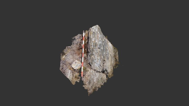 Coto Loureiro (Forcarei). 3D Model