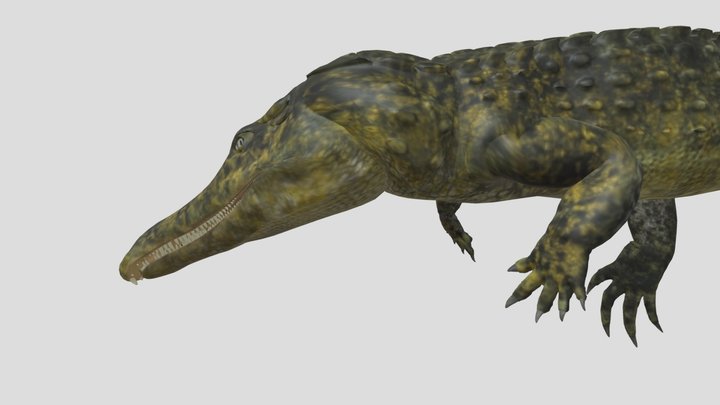 Deinosurchus Swimming