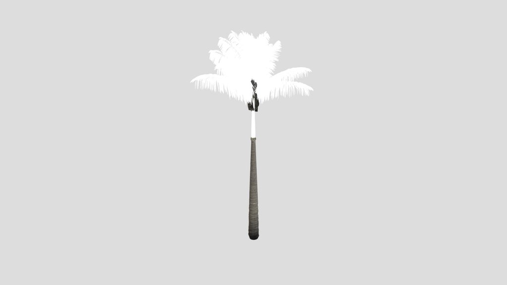 Imperial Palmtree