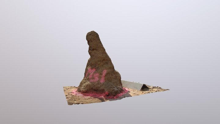 Termite mound Ms1-2017 3D Model