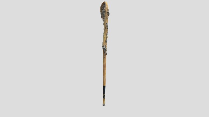 Lacrosse #1 3D Model