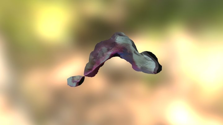 Leg 3D Model