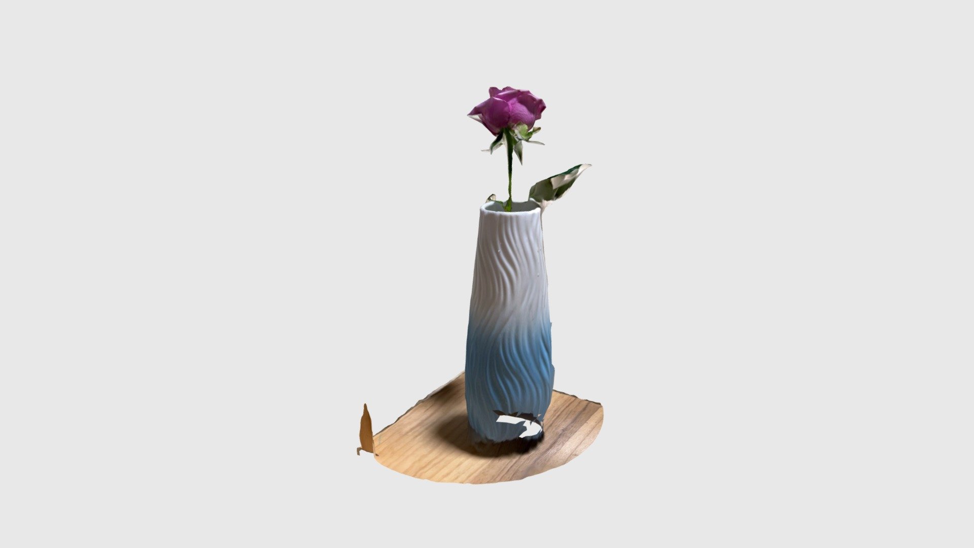 rose-pink-01